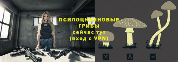 первитин Алексеевка