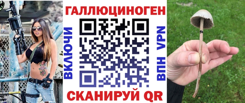сколько стоит  KRAKEN сайт  Галлюциногенные грибы GOLDEN TEACHER  Новошахтинск 