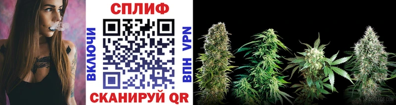 даркнет сайт  Новошахтинск  mega   Канабис планчик 